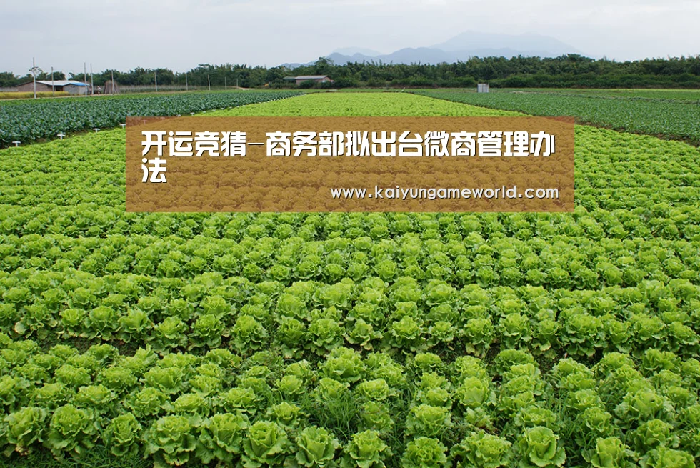 开运下载