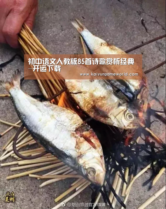 初中语文人教版85首诗歌赏析经典-开运下载(图2) 开运体育